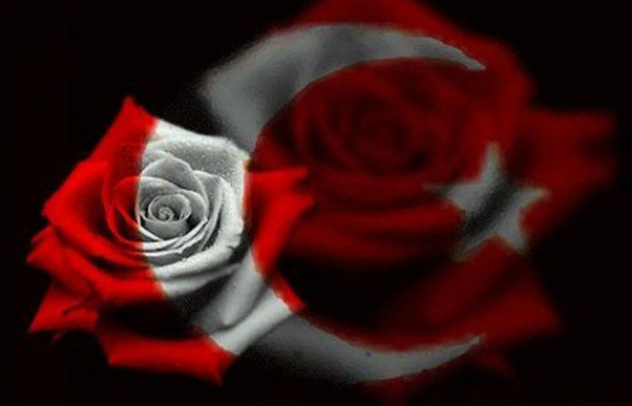 Turk bayragi gul resimleri 1