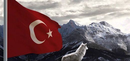 Kurt resimli turk bayraklari